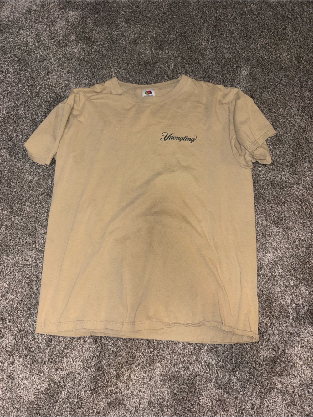 Vintage Beige Graphic Tee with Script Logo